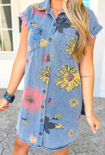 Denim and Daisy Dress